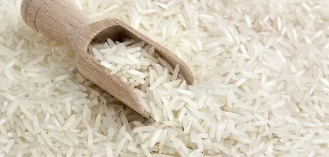 تصویر 1 از قیمت خرید برنج شمشیری ندا با فروش عمده